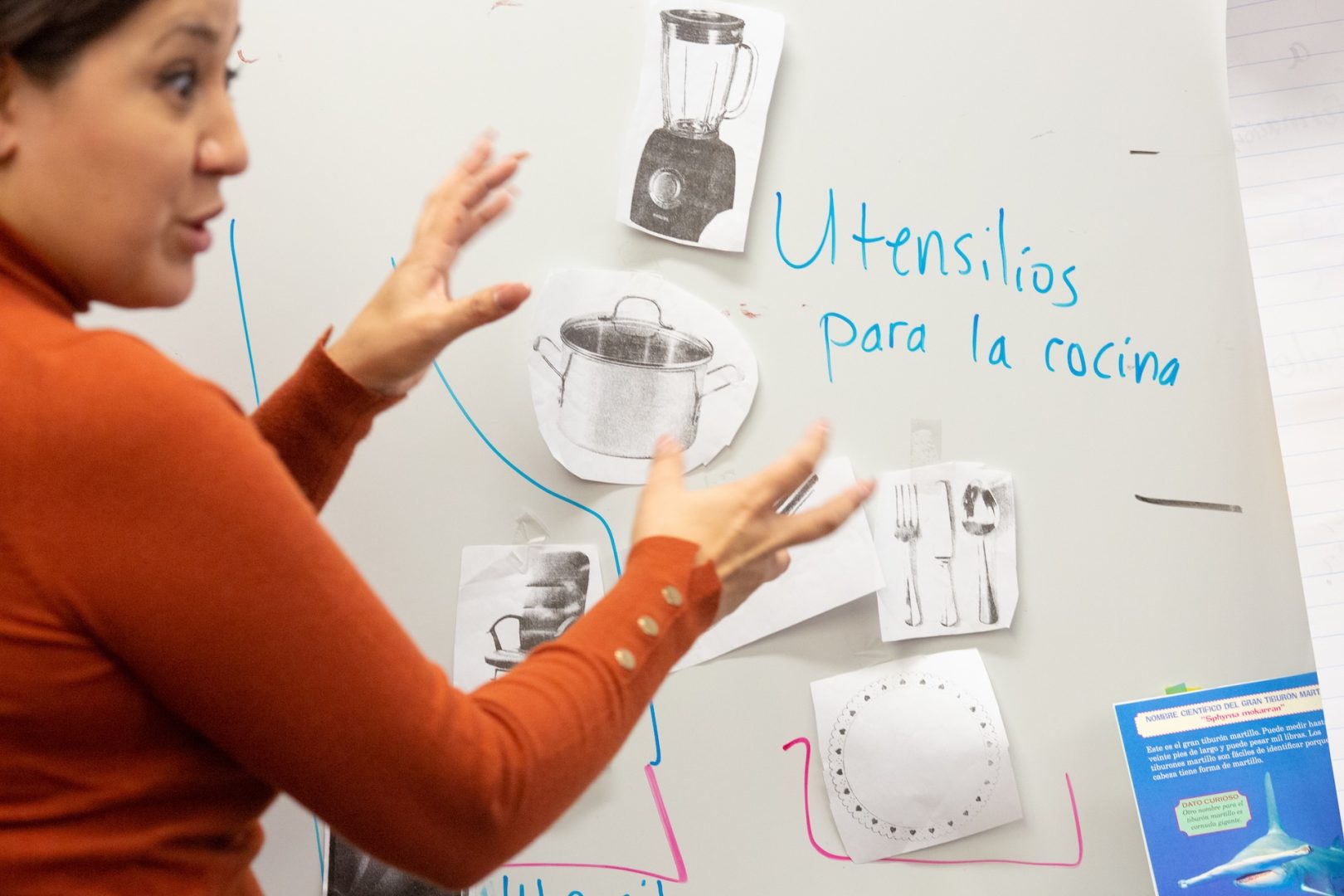 An elementary teacher delivers a lesson in Spanish in a dual-language immersion class.